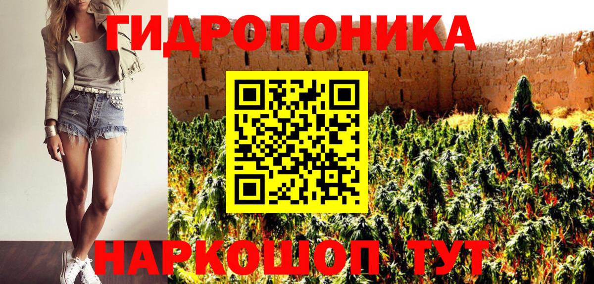 Марихуана план  Конопля White Widow  Балахна  Вход с VPN  Каннабис семена 